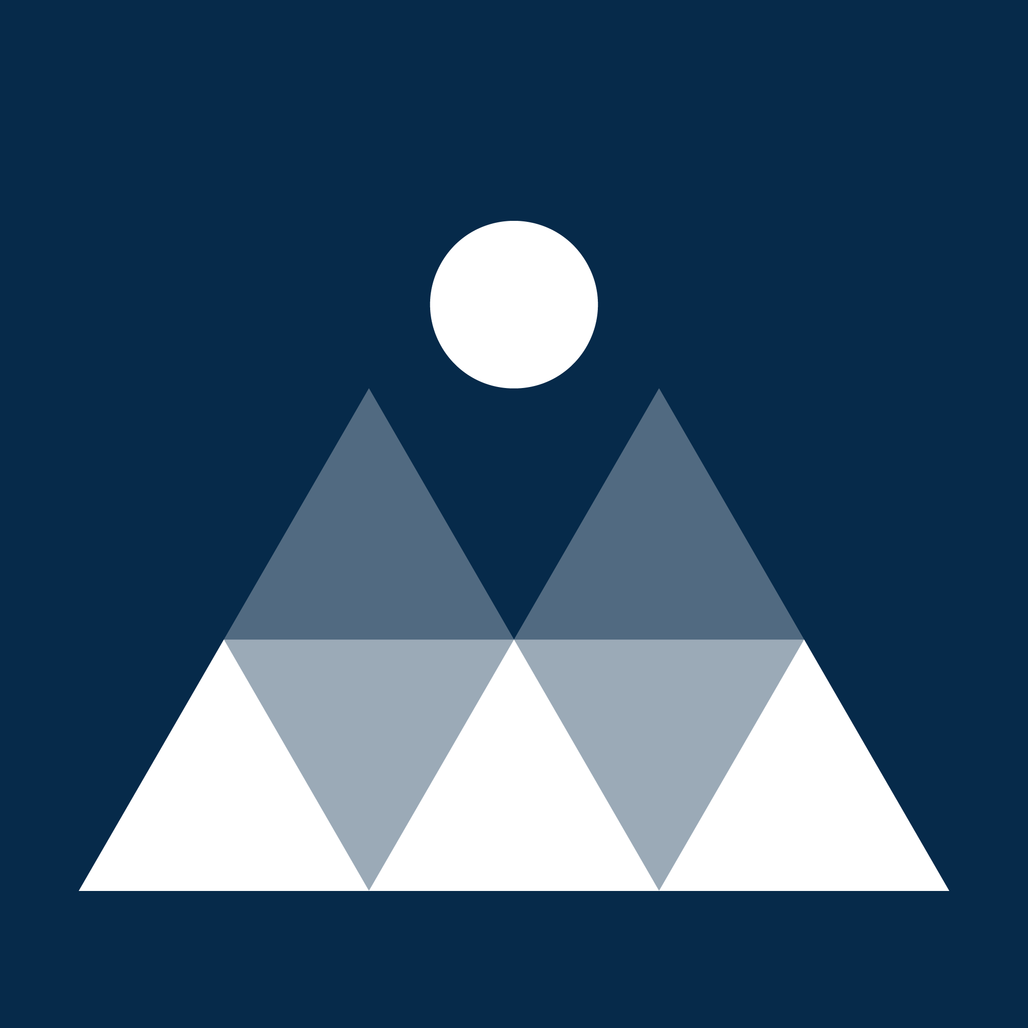 Viewpoints AI Logo